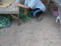 DSCN1161.JPG