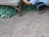 DSCN1162.JPG
