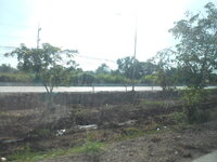 DSCN9500.JPG