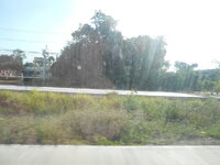 DSCN9502.JPG
