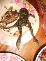 DSCN9722~2.JPG