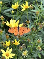 IMG_2194.jpeg