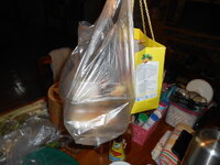 DSCN1278.JPG DSCN1278.JPG