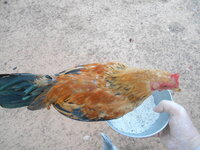 DSCN3238.JPG