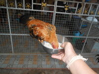 DSCN3235.JPG