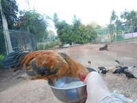 DSCN3237.JPG