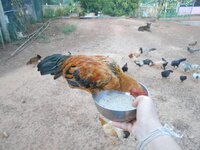 DSCN3236.JPG