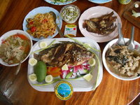 DSCN0022.JPG