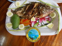 DSCN0019.JPG DSCN0019.JPG