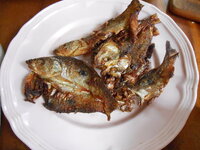 DSCN0025.JPG