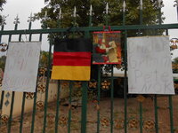 DSCN9007.JPG