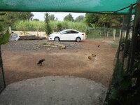 DSCN9046.JPG