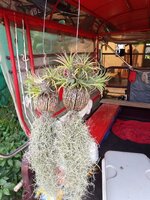 IMG_20231019_105453_994.jpg