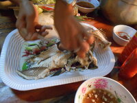 DSCN9040.JPG
