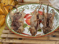 DSCN9330.JPG