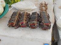 DSCN9331.JPG