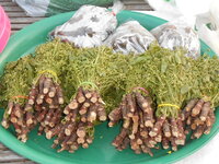 DSCN9332.JPG