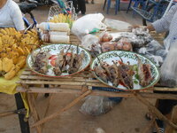 DSCN9328.JPG