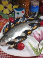 IMG_20171013_182051.jpg