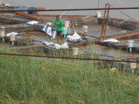 DSCN9067.JPG