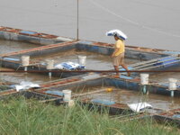 DSCN9066.JPG