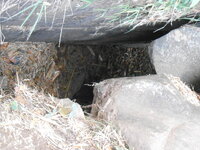 DSCN9130.JPG
