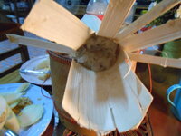 DSCN9943.JPG