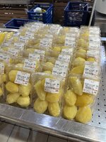 IMG_2225.jpeg