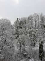 IMG-20210319-WA0010.jpg