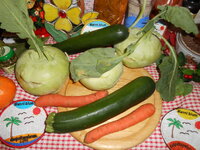 DSCN9460.JPG