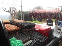 DSCN9087.JPG