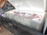 DSCN9091.JPG