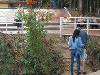 DSCN9127.JPG
