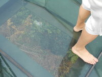 DSCN9141.JPG