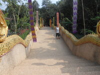 DSCN9198.JPG