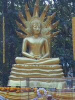 DSCN9203.JPG