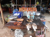 DSCN9205.JPG
