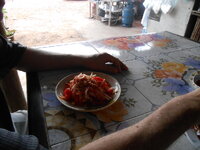 DSCN9213.JPG