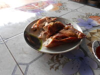 DSCN9216.JPG