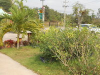 DSCN9227.JPG