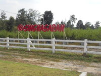 DSCN9226.JPG