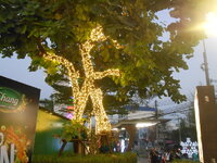 DSCN9255.JPG