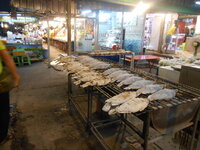 DSCN9259.JPG