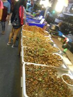 IMG_20171216_094452.jpg