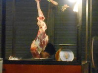 DSCN9303.JPG