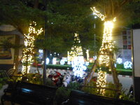 DSCN9300.JPG