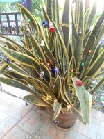 IMG_20171223_090211.jpg
