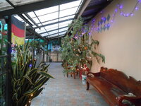 DSCN9808.JPG