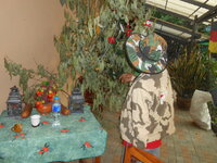 DSCN9803.JPG