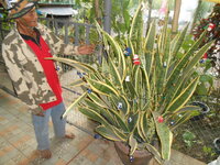 DSCN9805.JPG